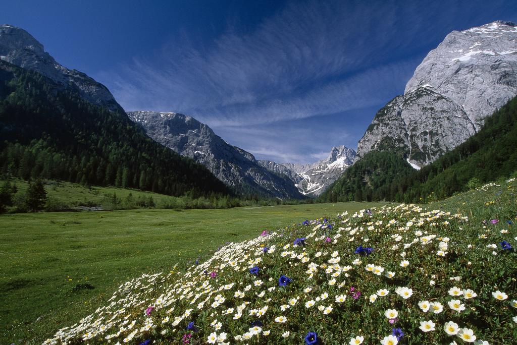 Apart Garni Montana Pertisau Exterior photo